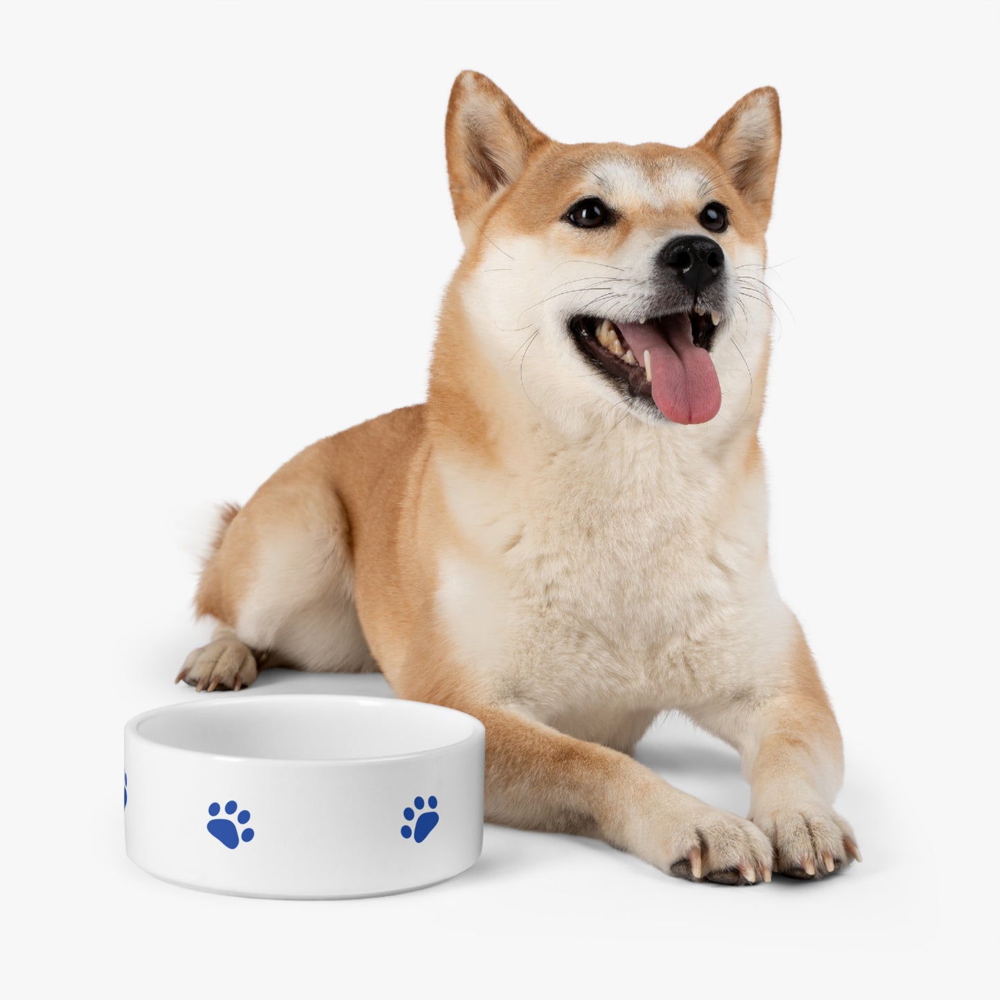 Blue Paw Print Pet Bowl